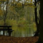 Autumn at the lake (6)