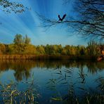 Autumn at the lake (7)