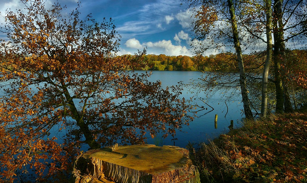 Autumn at the lake (8)