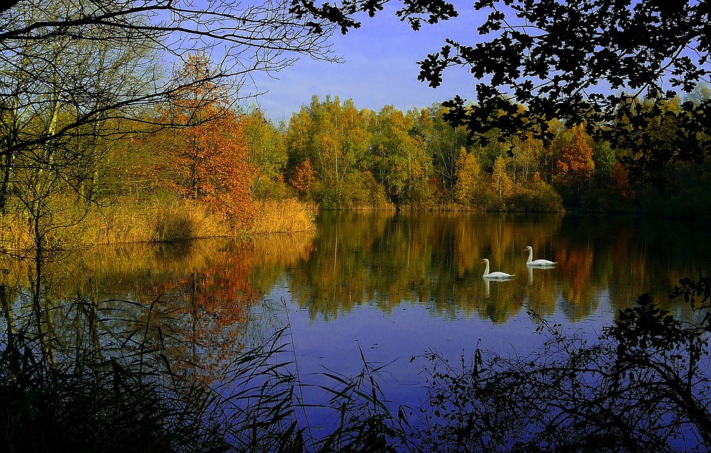 Autumn at the lake (9)