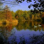 Autumn at the lake (9)