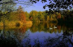 Autumn at the lake (9)