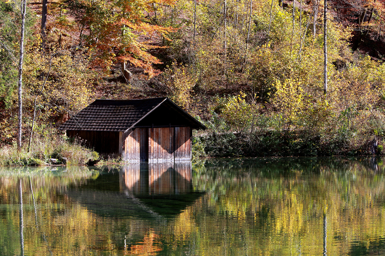 Autumn at the lake