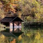 Autumn at the lake