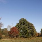 Autumn atmosphere in Dessau - Image 3