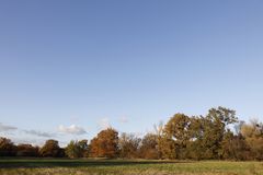 Autumn atmosphere in Dessau - Image 4