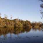 Autumn atmosphere in Dessau - Image 5