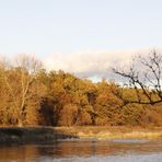 Autumn atmosphere in Dessau - Image 9