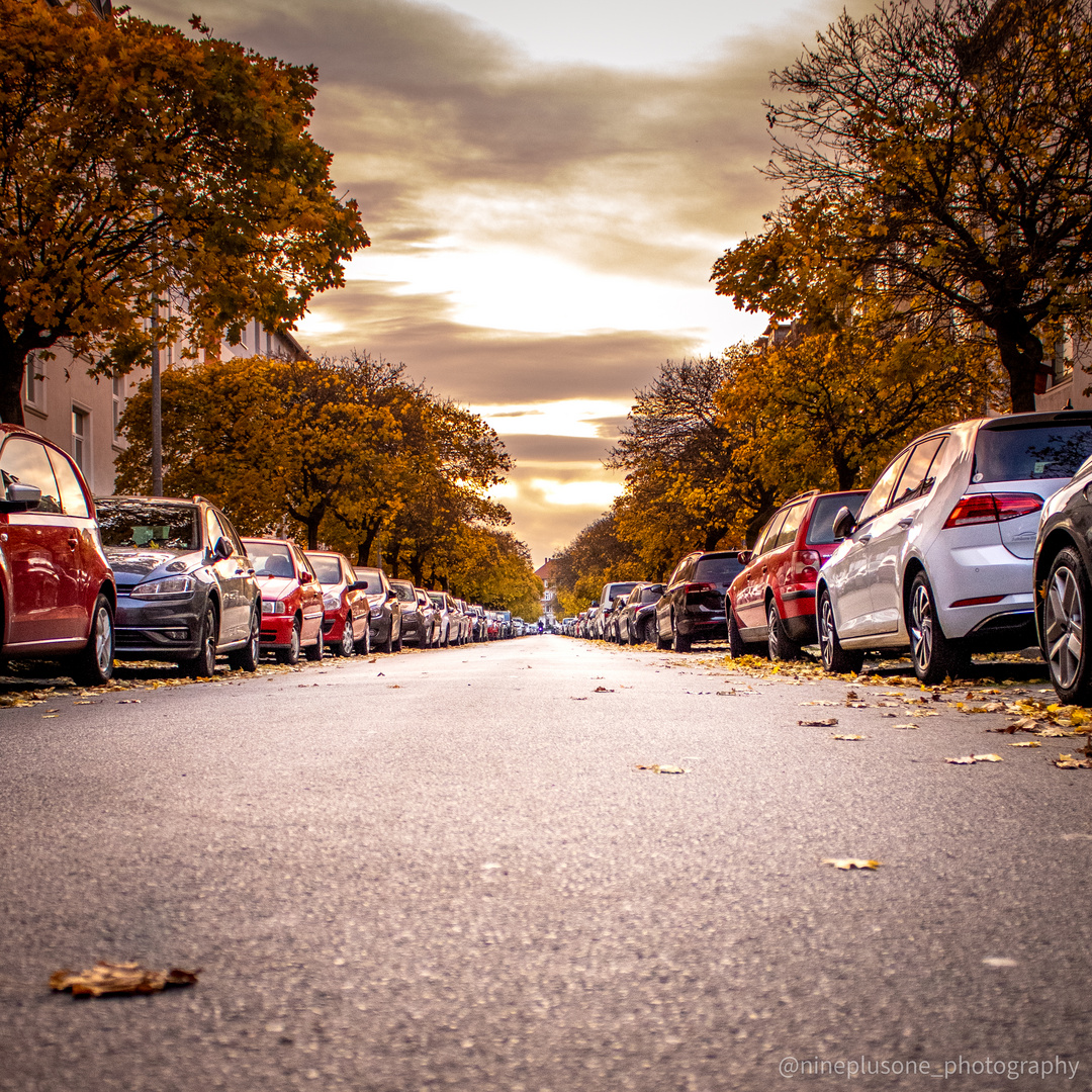 autumn avenue.