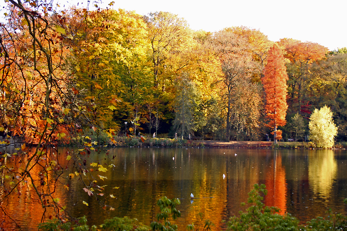 autumn beauty