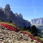 Autumn begins in Dolomites - Terra Ladina