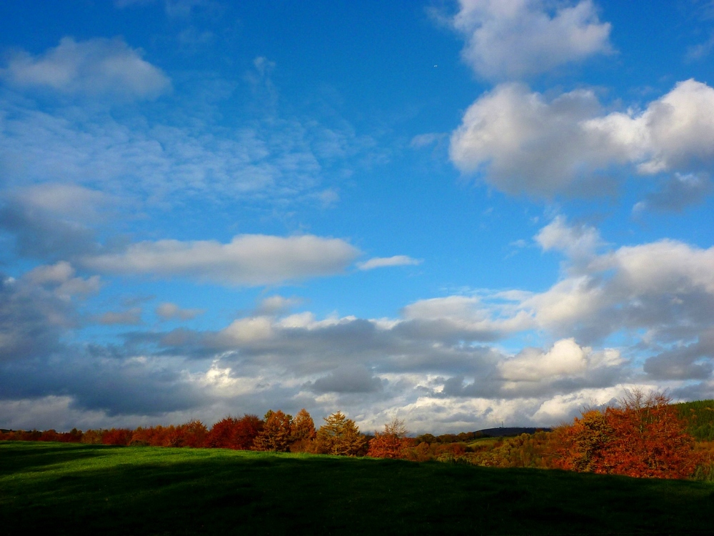 Autumn below the horizon