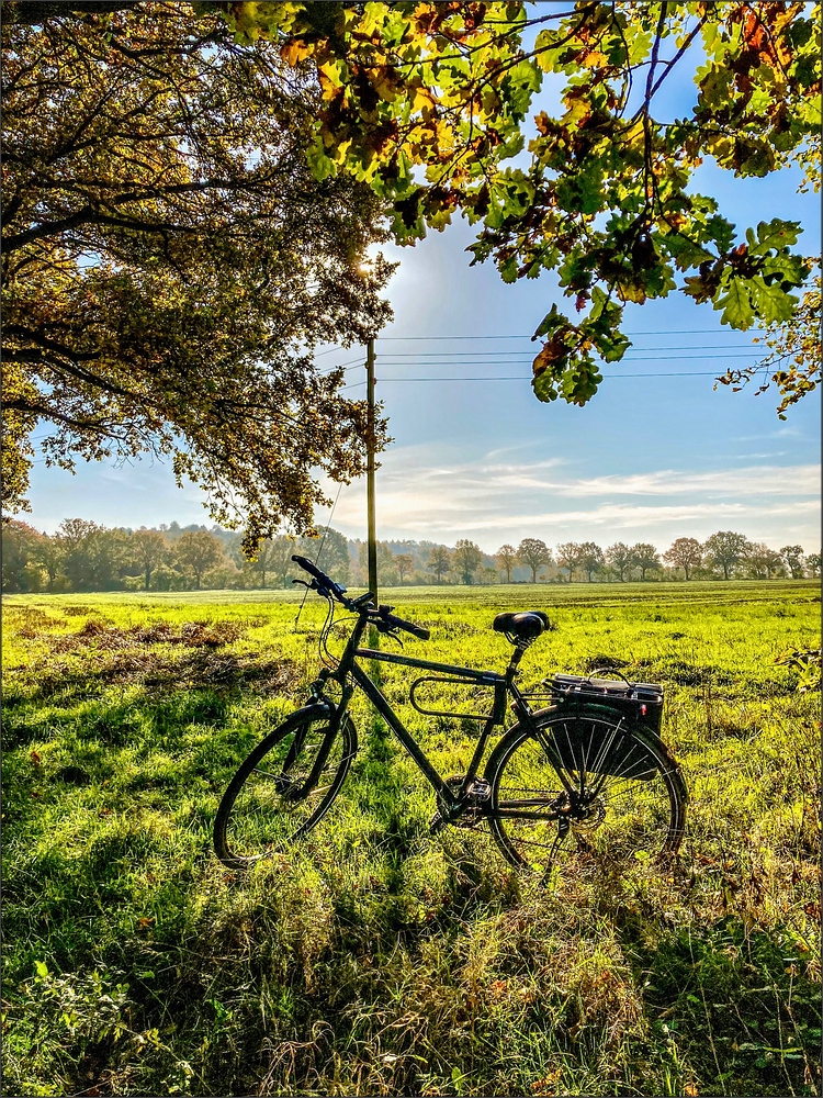 * Autumn bike tour *