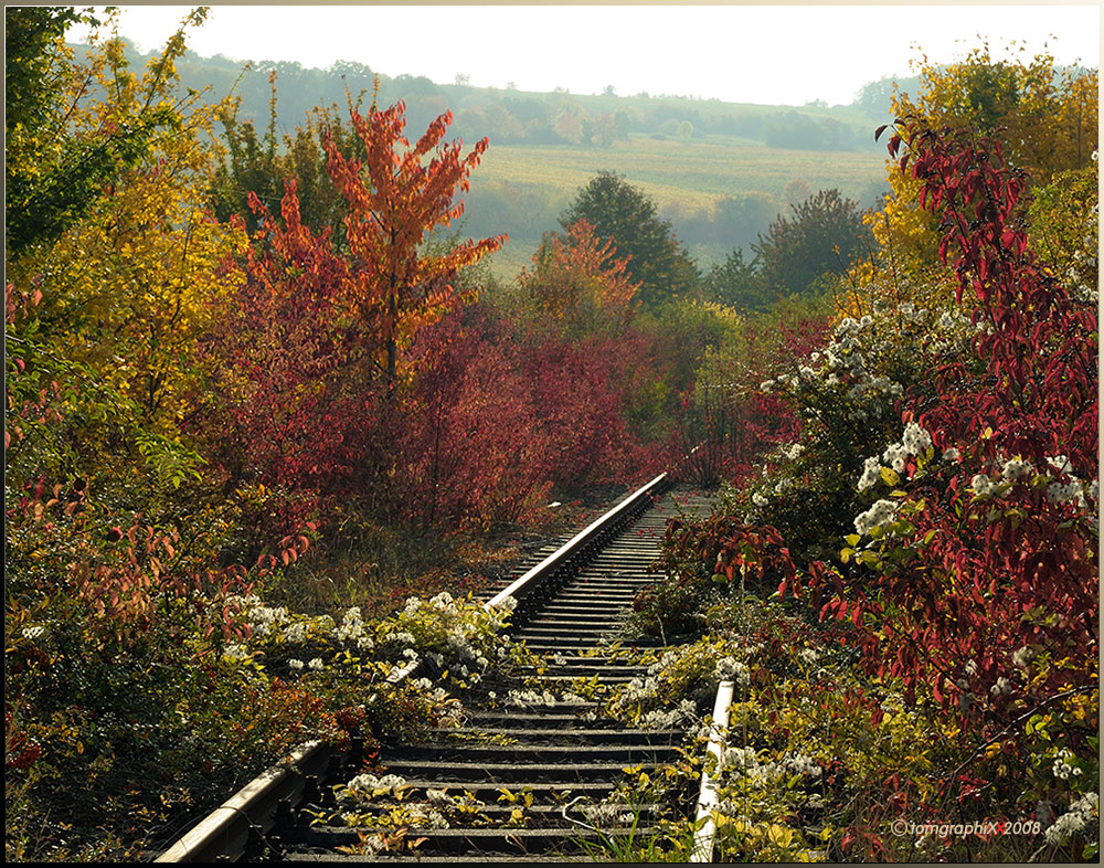 Autumn Blues 2008