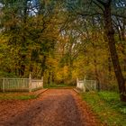 Autumn Bridge