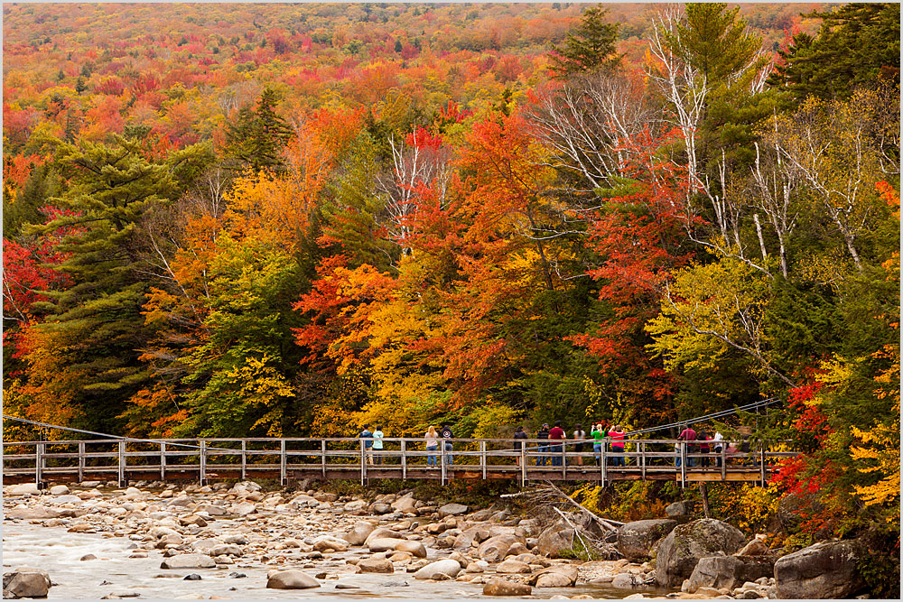 Autumn Bridge