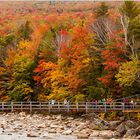 Autumn Bridge