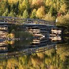 Autumn Bridge