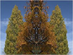 autumn cloning
