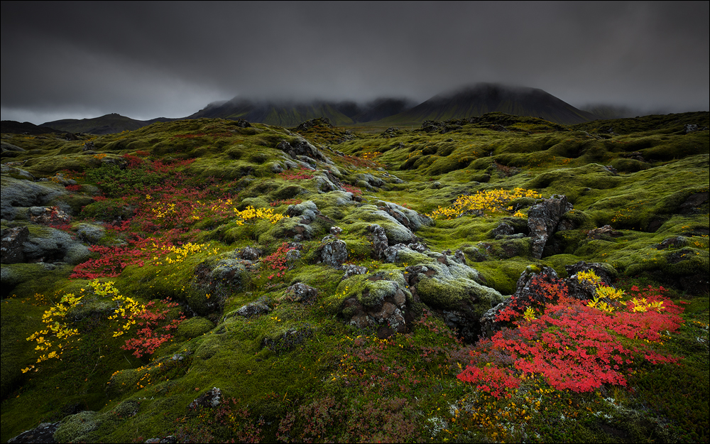 [ ... autumn colors ]