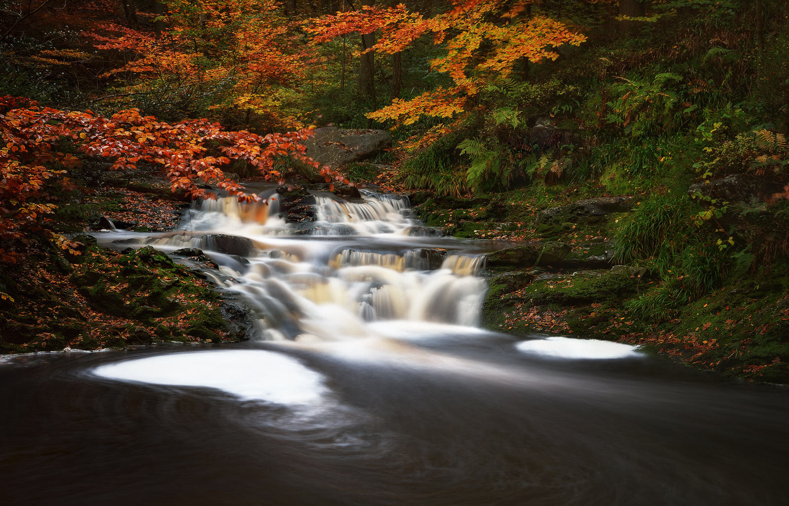 Autumn Colors