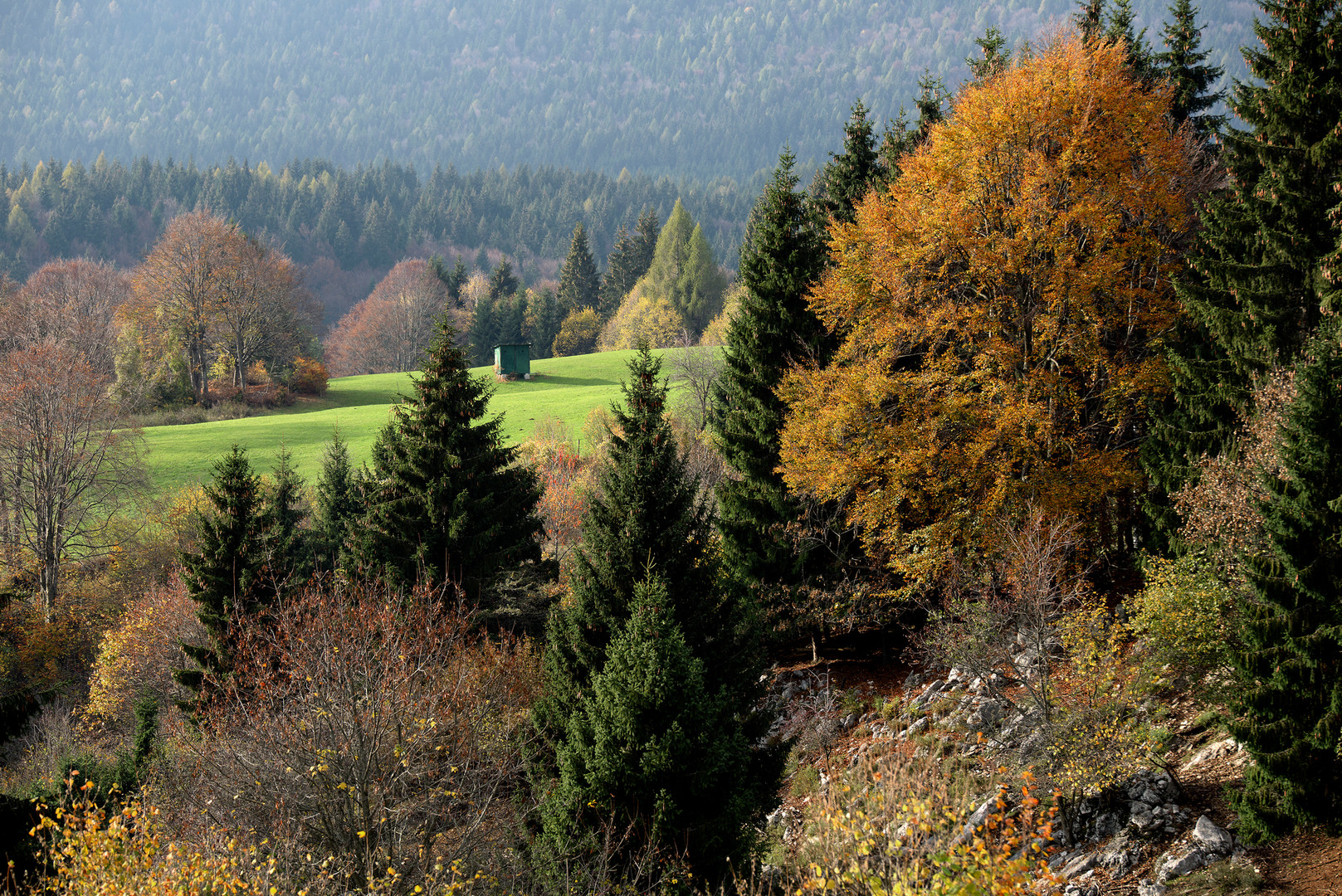 Autumn Colors