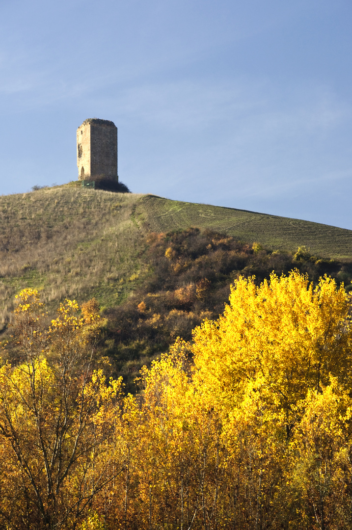 Autumn colors