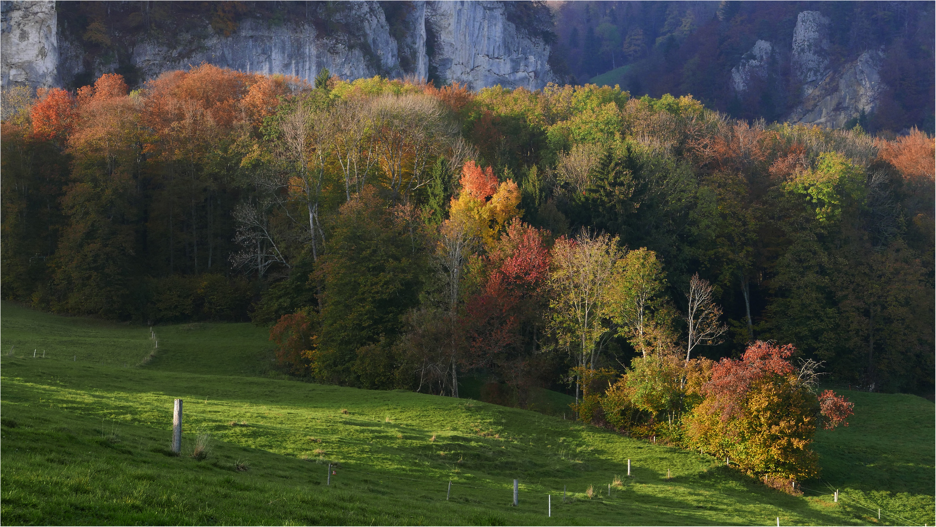 Autumn Colors