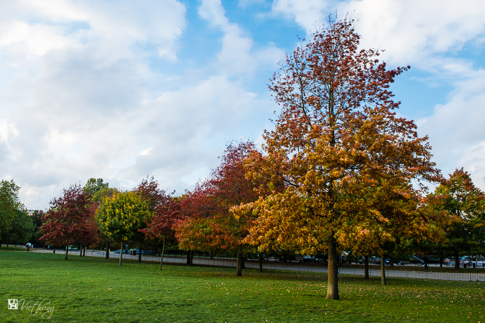 Autumn colors #7