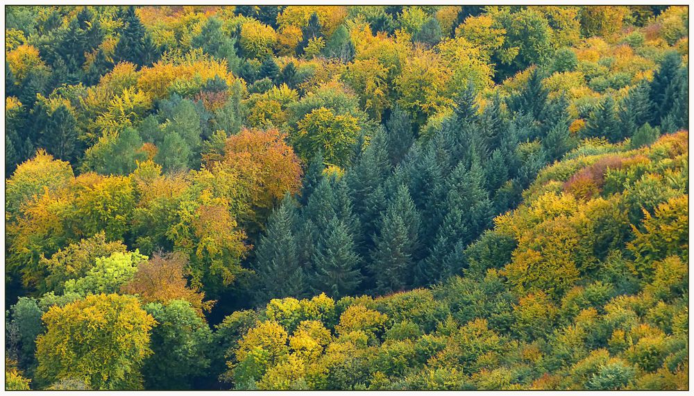 autumn colors