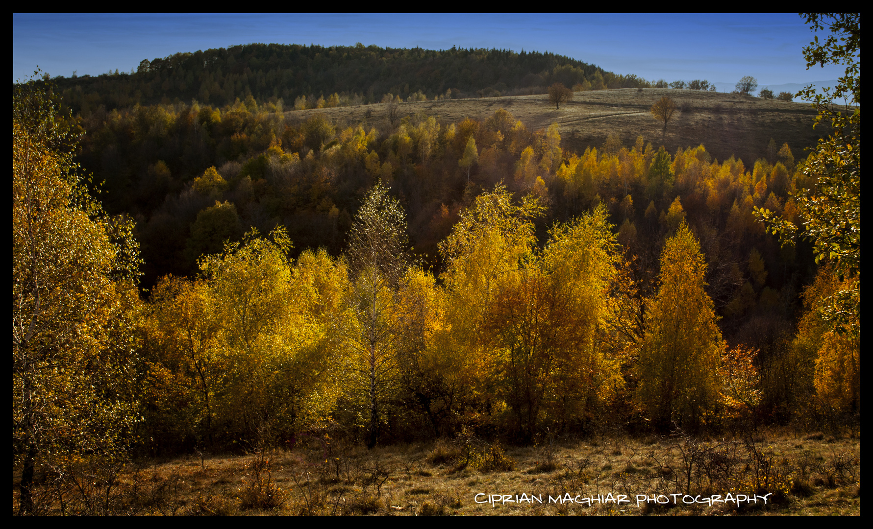 Autumn colors