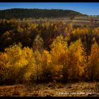 Autumn colors