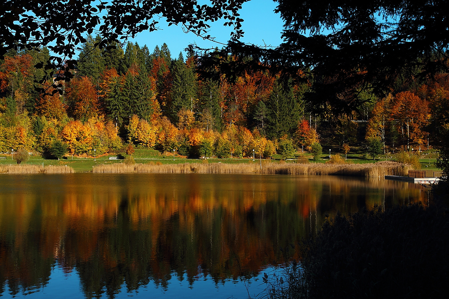 Autumn colors and reflections