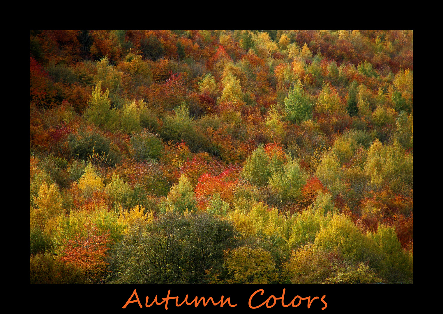 Autumn Colors