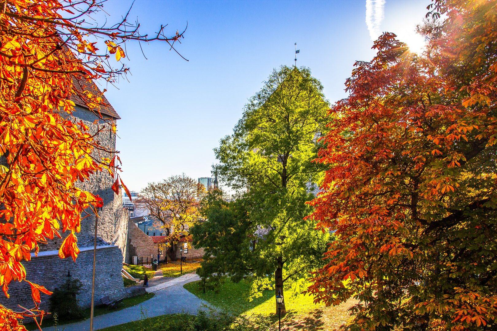 Autumn Colors