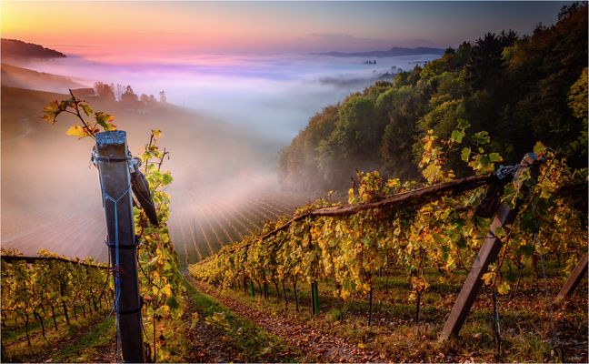 —— autumn colors ——