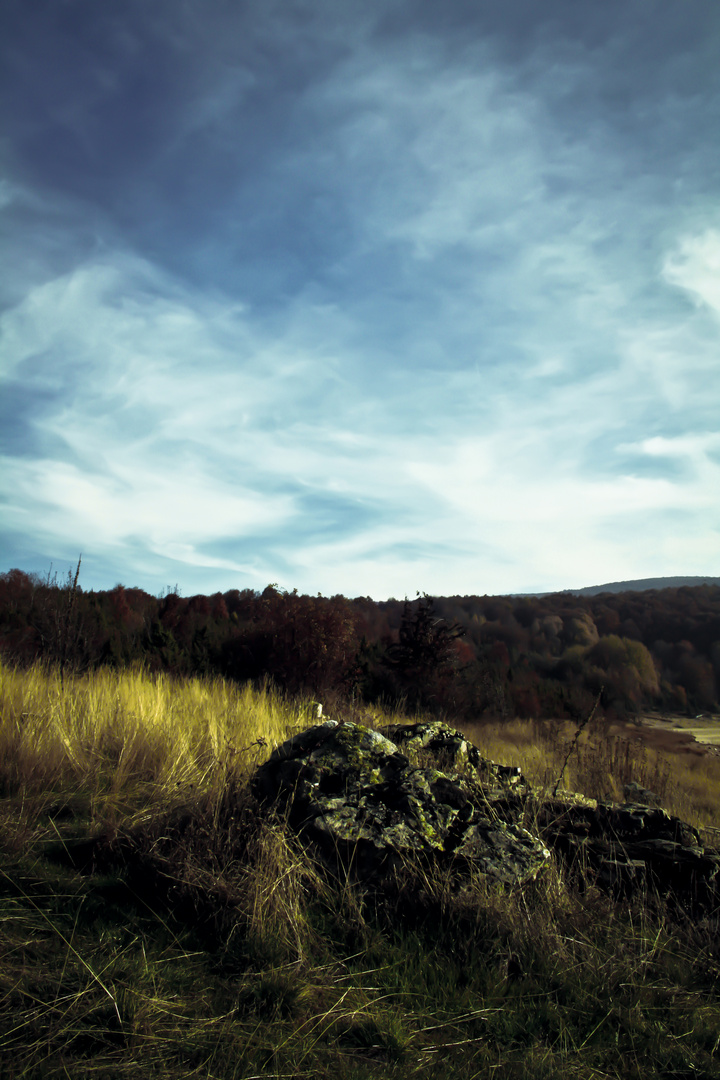 Autumn Colors