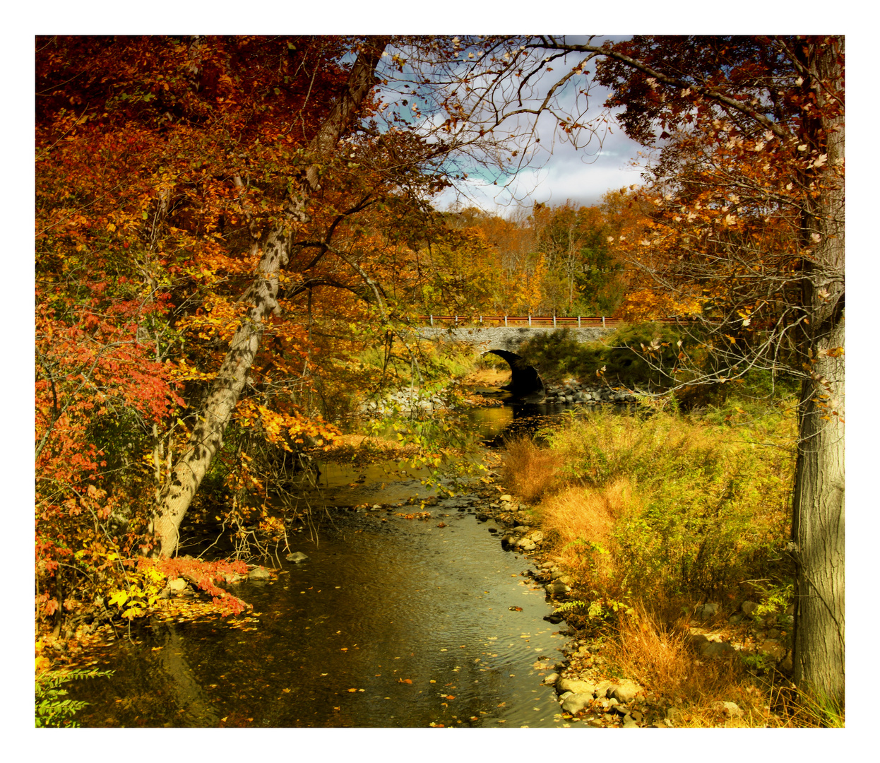 Autumn Colors