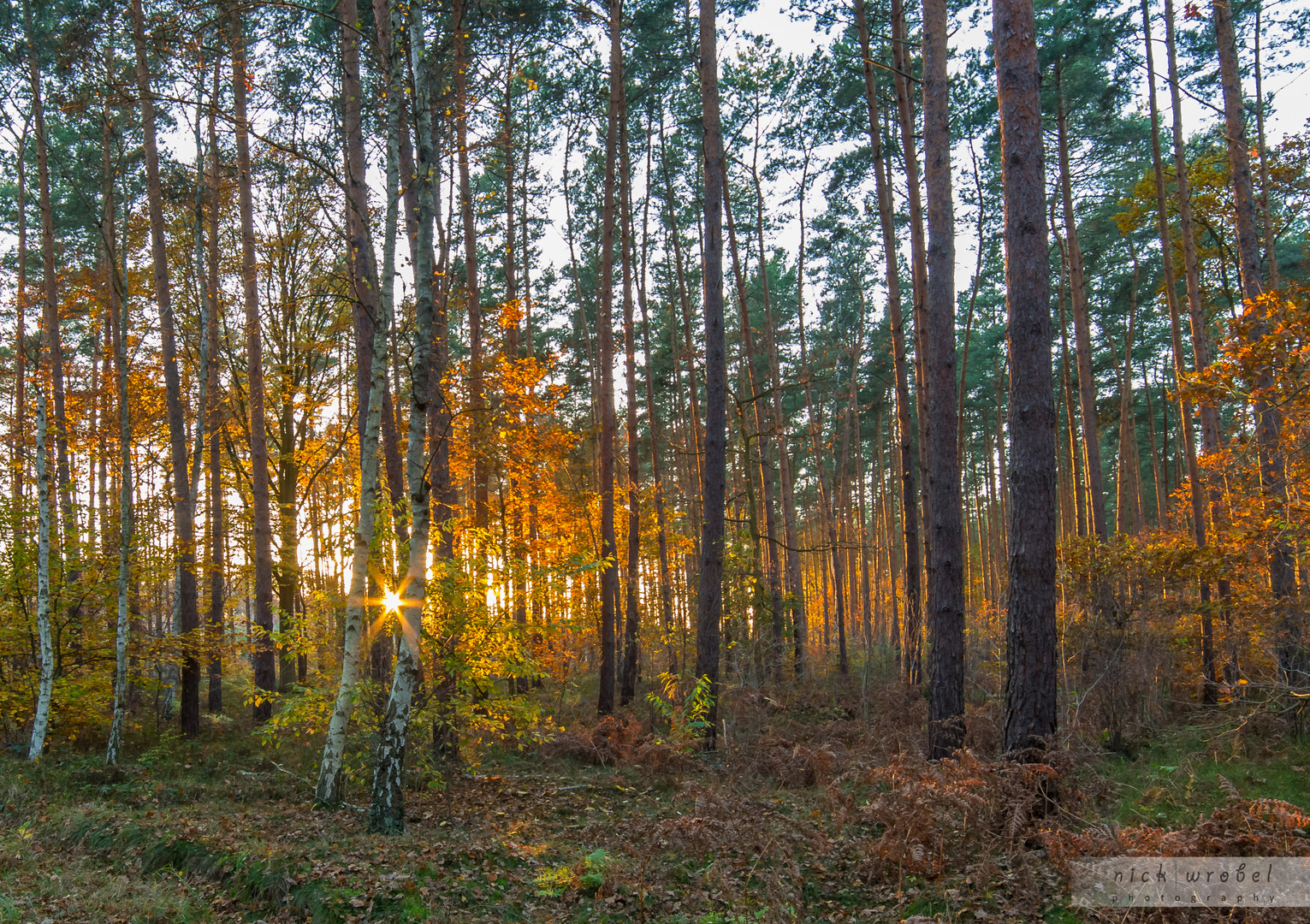 Autumn Colors