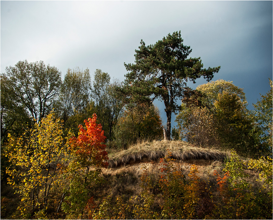 autumn colors