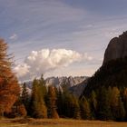 Autumn colors - i colori Autunnali