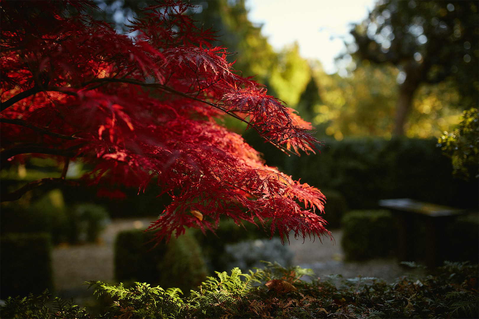 Autumn Colors I + II