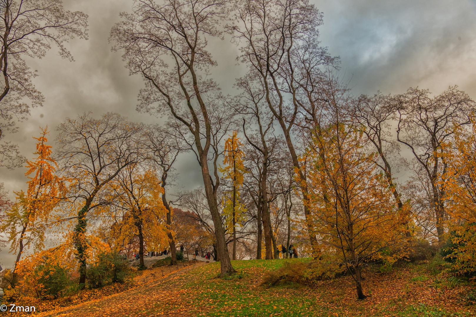 Autumn Colors of The Central Park NY