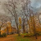 Autumn Colors of The Central Park NY