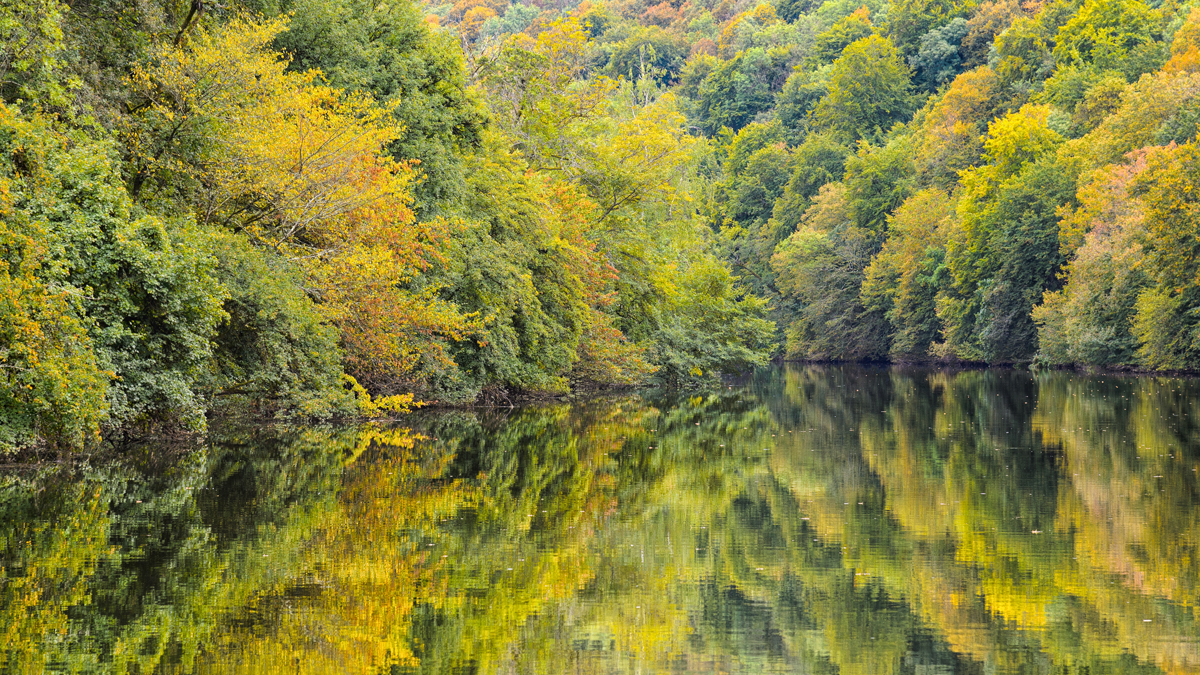 autumn colouring