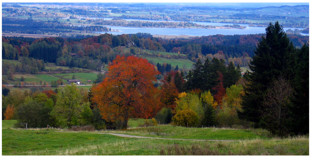 Autumn Colours 1