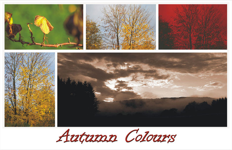 Autumn Colours