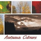 Autumn Colours