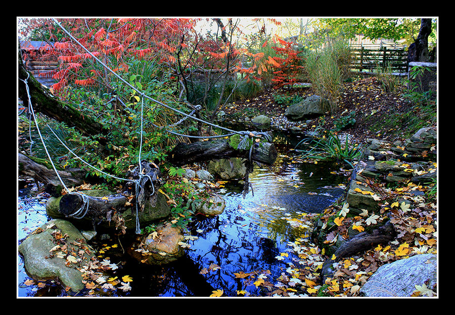 autumn colours