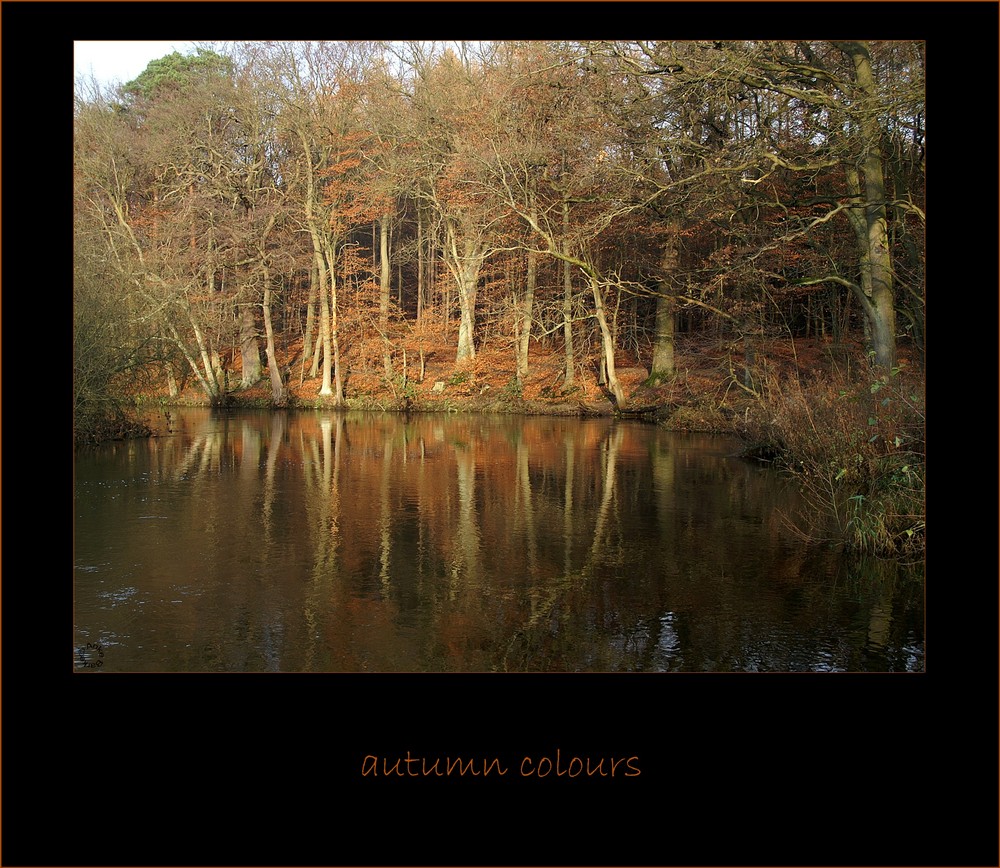 autumn colours